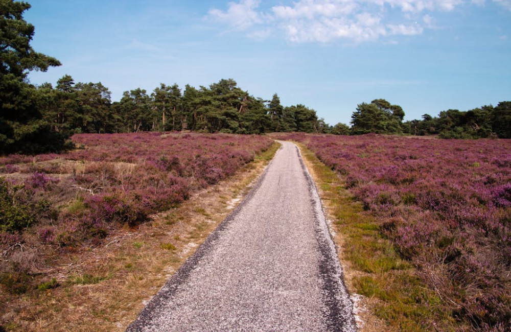 Een groepsaccommodatie in Gelderland huren? Lees deze tips!